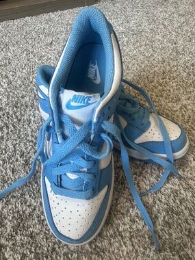 New Nike Dunks